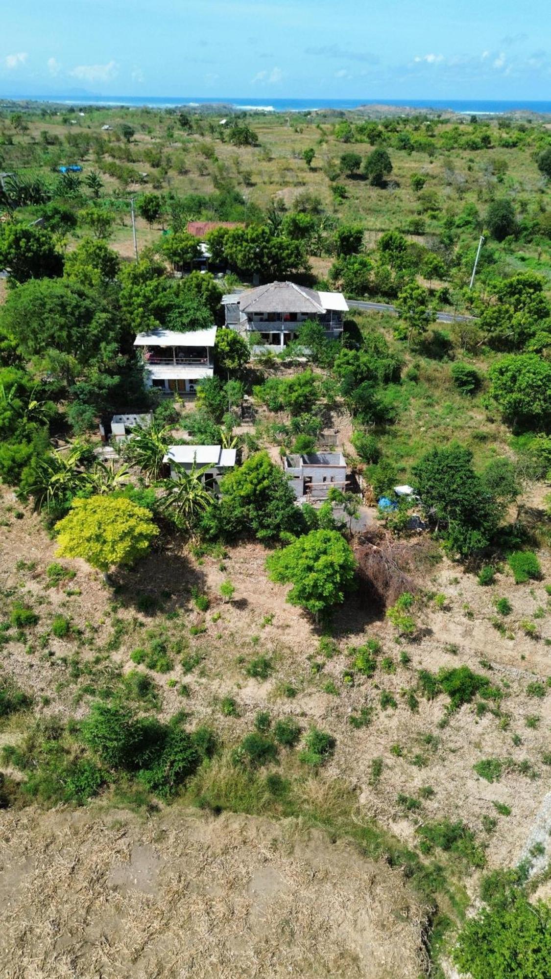 Feby'S Homestay Ekas المظهر الخارجي الصورة