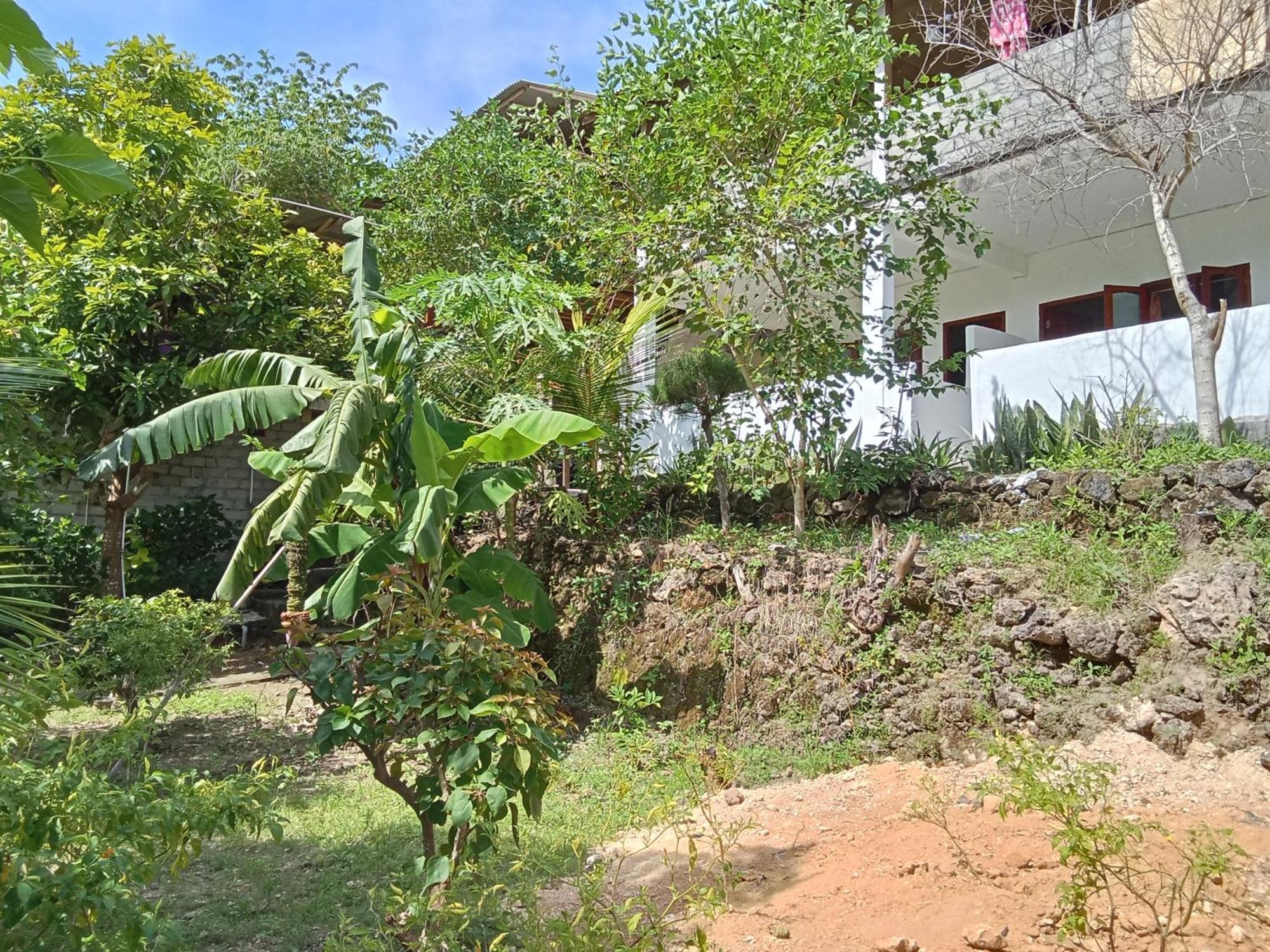 Feby'S Homestay Ekas المظهر الخارجي الصورة